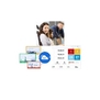 Yeastar P520 Enterprise License